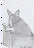 Bullterrier