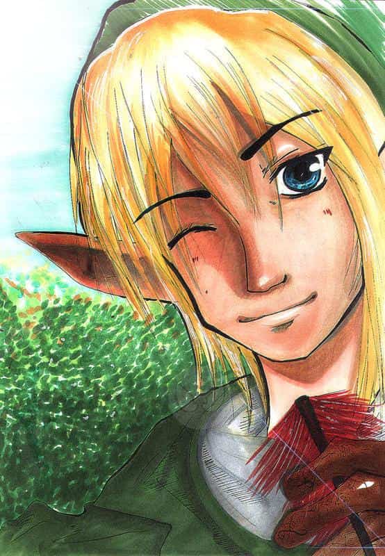 Zelda - Hero of Game!