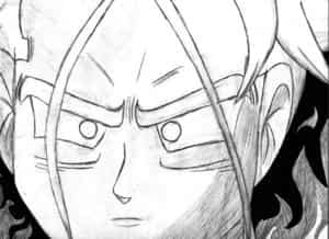 Des troncs dans le feu