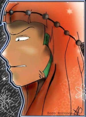 Torro du désert de nuit