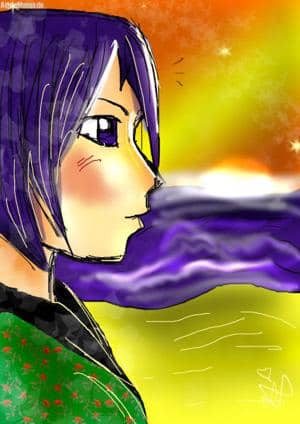 Mon premier Pc-Piccu ^^