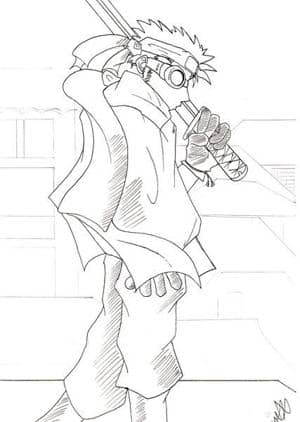 Promenade des samouraïs sauvages