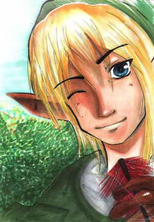 Zelda - Hero of Game!