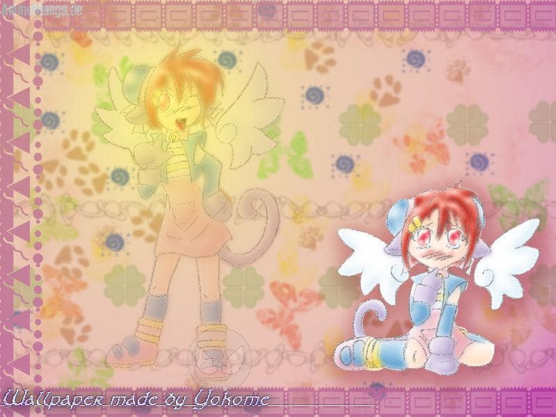 sugar catangels as Wallpaper