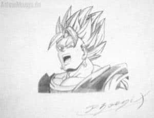 Vegeto