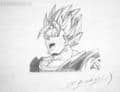 Vegeto