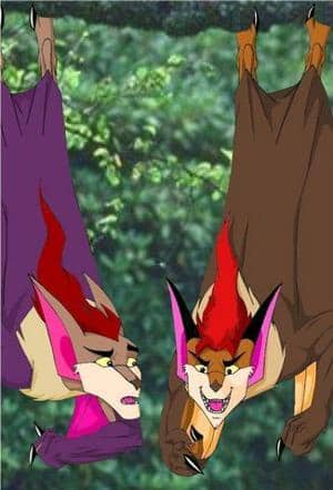 Ob das mal gut geht...