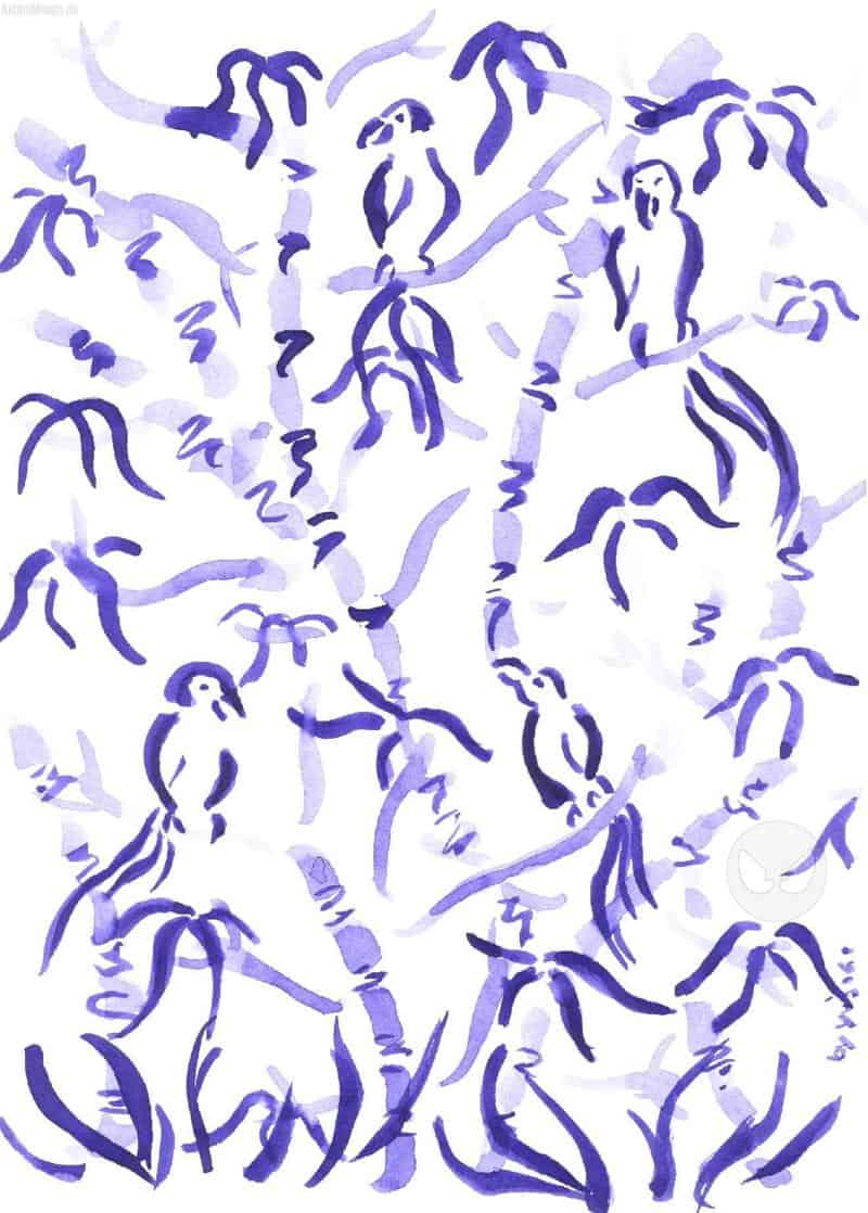 Vögel im Bambusbaum