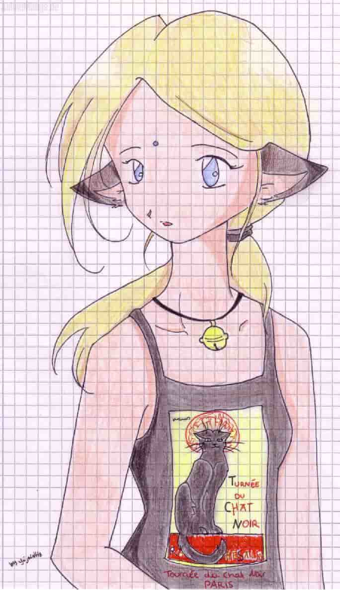 Turnèe du CHAT NOIR