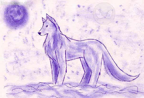 ~Winterwolf~
