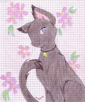 Nagu-chan in der Kittyversion^^