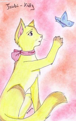Tsubi-Kitty^^