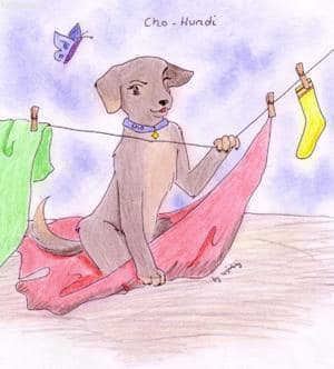 Cho-Hundi^^ Happy birthday, sweet-chan!!!!