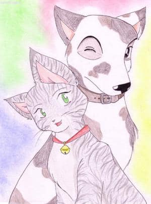 Wanted: Tiermenschen - Platz 2