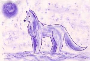 ~Winterwolf~
