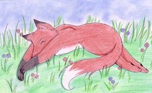 Ein Füchslein für Pharaonenfuchs^^