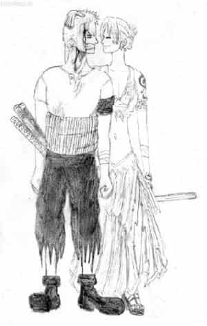 Zorro und Nami