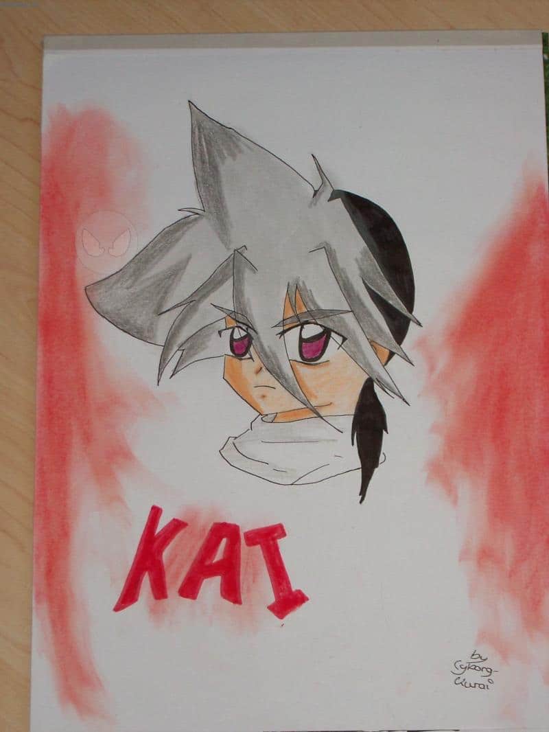 ~Kai-chan~