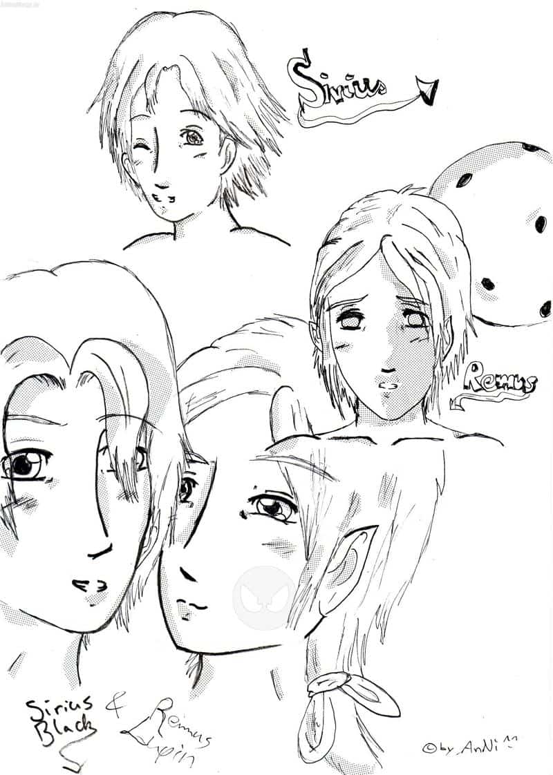 war n Versuchmit Rasterfolie