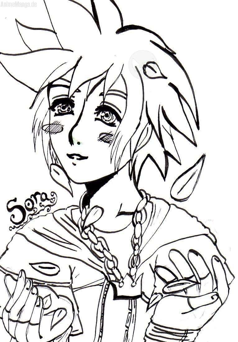 Sora*freuiiiiiiiiiii*