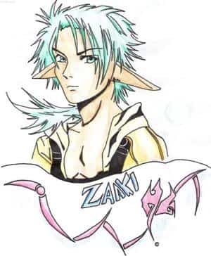 zaaki