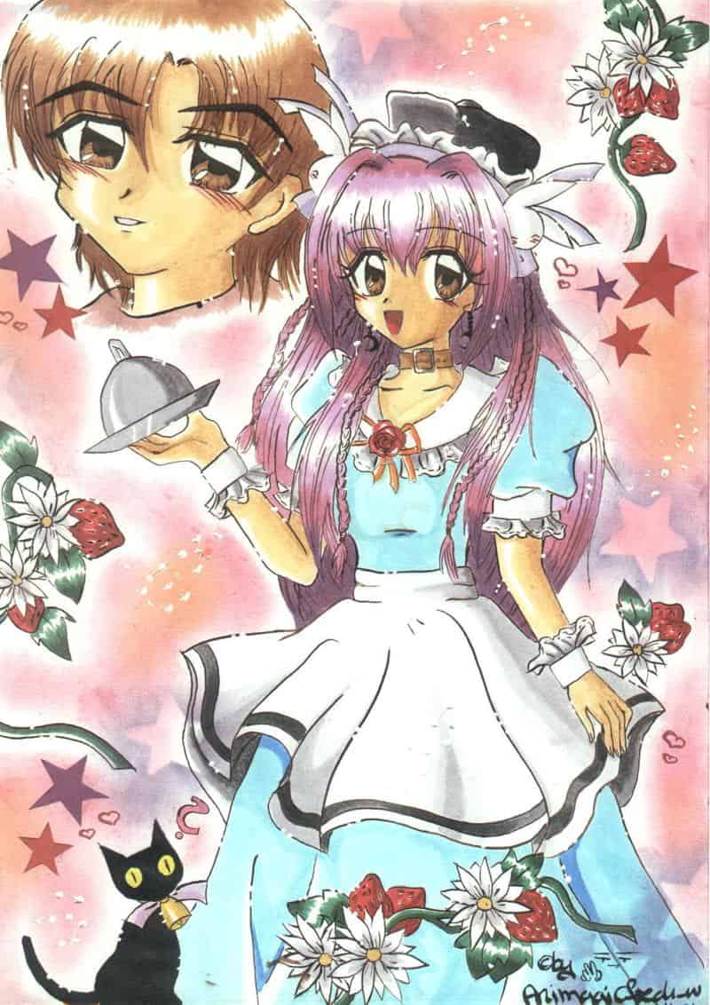 Misha, Kotaru und &quot;Miau&quot;