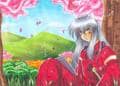 Inuyasha oO