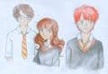 Harry, Hermine &amp;amp; Ron