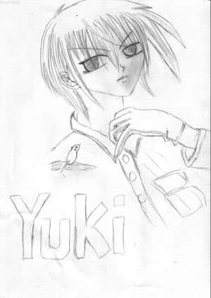 Yuki