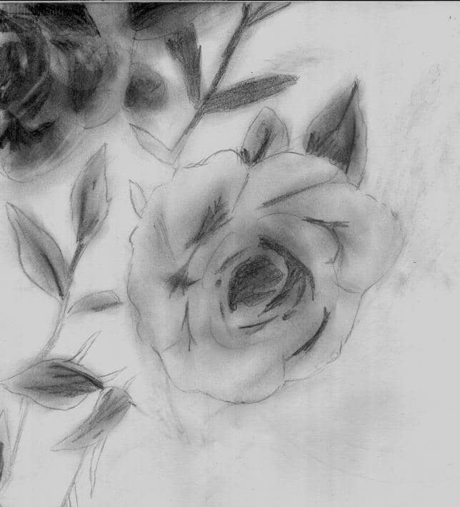 Sollten Rosen sein O.o