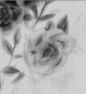 Sollten Rosen sein O.o