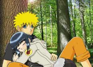 Naruto und Hinata mit HG