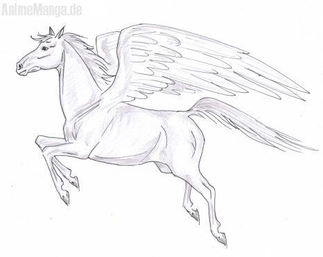 ich kann auch pferde ^-^