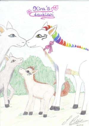 Kira´a tsukisoi (Begleiter)