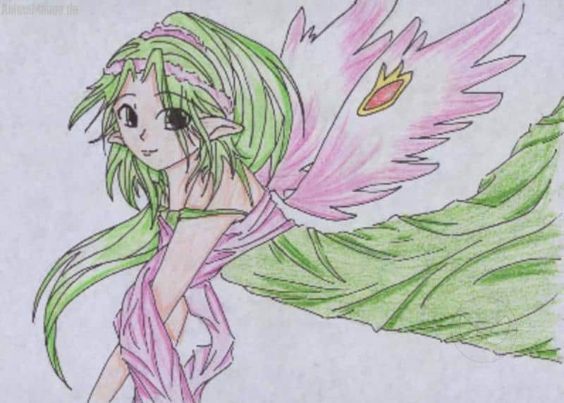 elfe für meine kousine