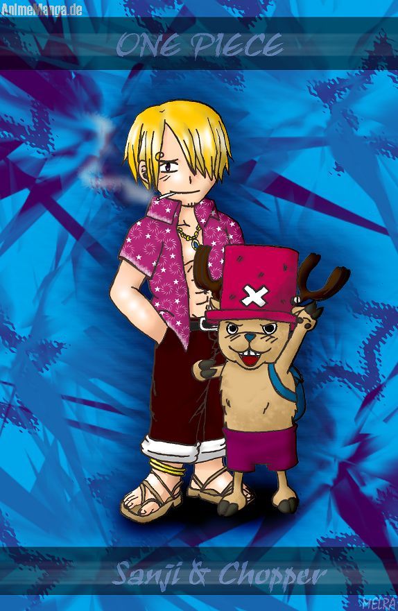 Sanji&Choppy X3
