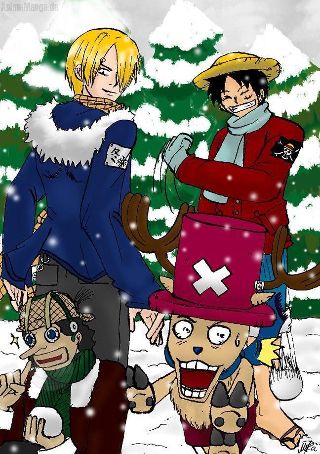 Winterzeit....Schneeballzeit....ô_O