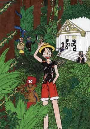 In search of the one piece