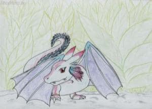 This is Koumo, the little dragon!