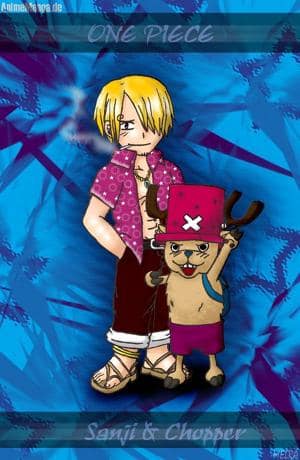 Sanji&Choppy X3