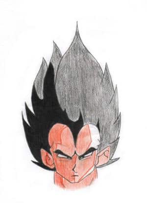 Vegetas Face