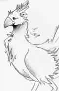 Chocobo von FF XD