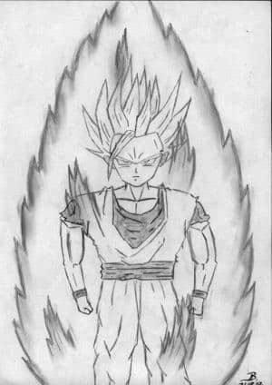 diesmal aber gohan !!!