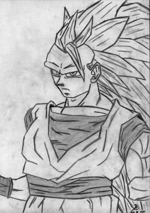 goku ssj3