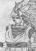 goku ssj3