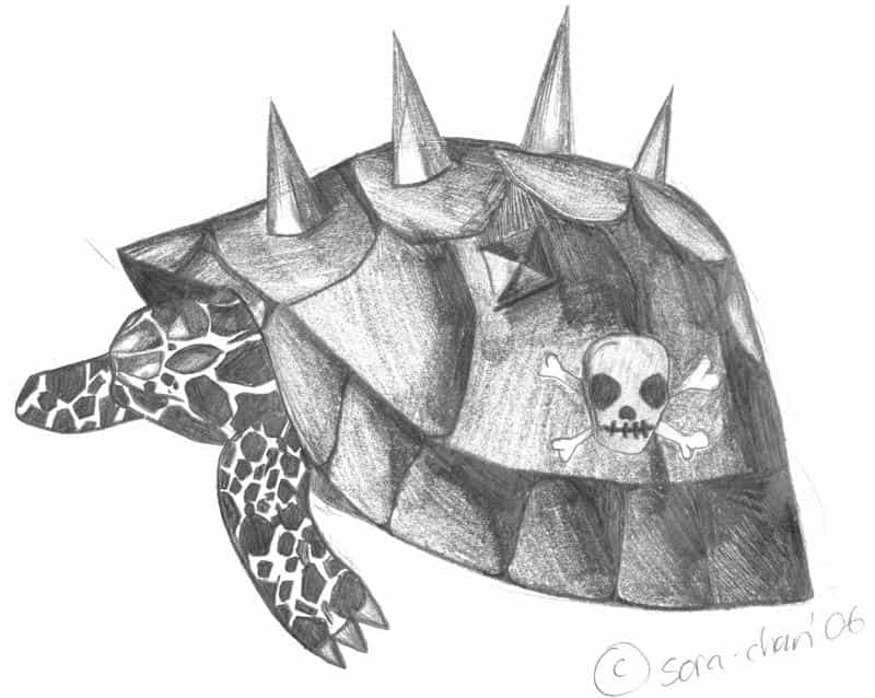 eine...*räusper* etwas andre schildkröte XXD