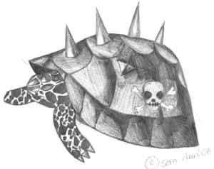 eine...*räusper* etwas andre schildkröte XXD