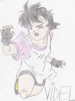 Videl