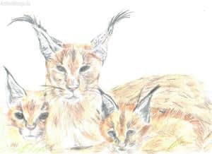 drei auf einem streich