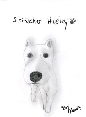 Husky
